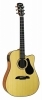 Alvarez AD 30 CE Alvarez AD 30 CE